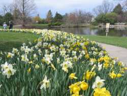 Cox Arboretum - April 2009