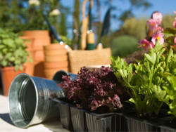 Dayton Home & Garden Show